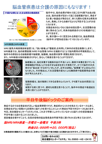 平日午後脳ドッグ